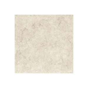  Catania Glazed Luce Grigio 12x12in