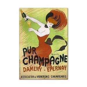  Damery Epernay Pur Champagne Advertising Art Fridge Magnet 
