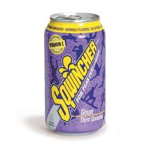 Sqwincher 100103 LA Lemonade Flavor 12 oz Ready To Drink Can (Case of 
