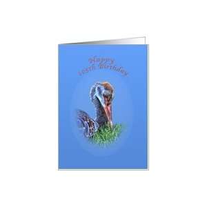  105th Birthday Card with Sandhill Crane Bird Card Toys 