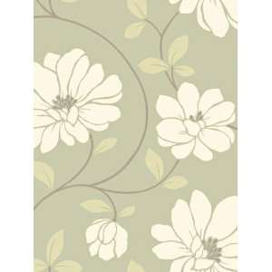  Wallpaper Steves Color Collection   All BC1582011