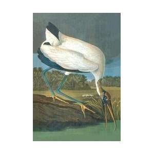  Wood Stork 28x42 Giclee on Canvas