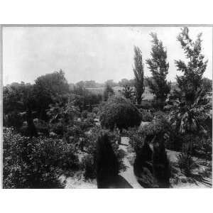    Stockdale Ranch,Kern County,California,CA,1880s