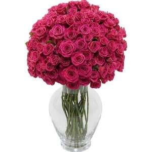Deluxe Hot Pink Spray Roses 100 Blooms Grocery & Gourmet Food