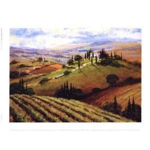    Tuscan Afternoon   Poster by Steve Thoms (8x6)