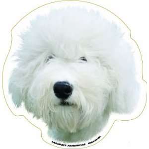  Old English Sheepdog Automotive