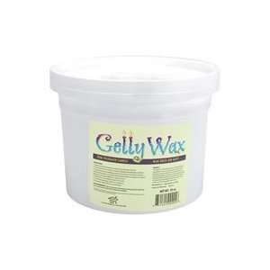    Gelly Candle Wax 55 Ounces Clear 33409 Arts, Crafts & Sewing