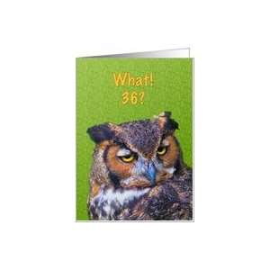  36th Birthday Card with Great Horned Owl Bird Card Toys 