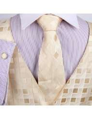   Idea with Neck Tie, Cufflinks, Handkerchief, Bow Tie for Suit Vs1009