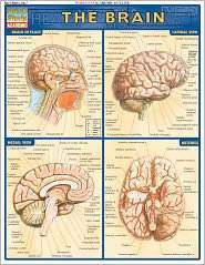 Brain, (1423207173), Vince Perez, Textbooks   