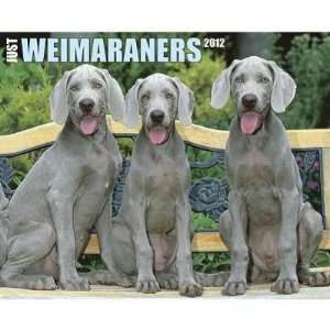  Just Weimaraners 2012 Wall Calendar