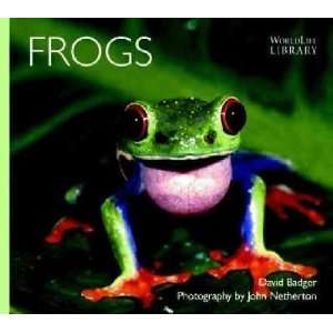  Frogs David P./ Netherton, John (ILT) Badger Books