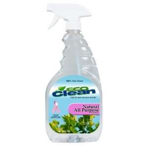  EcoClean Glass and Window Cleaner 