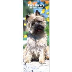  Cairn Terriers 2008 Slimline Calendar