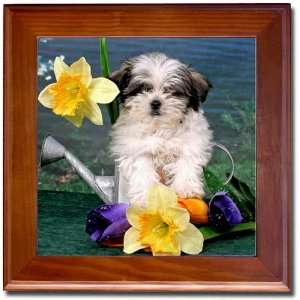  Shih Tzu Tile   Framed