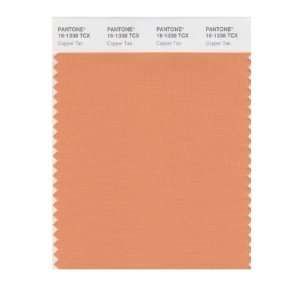  PANTONE SMART 16 1338X Color Swatch Card, Copper Tan