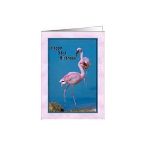  Birthday, 91st, Pink Flamingos Card Toys & Games