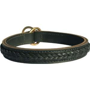   Everyday Use and TrainingThis Collar is Double Ply and it is