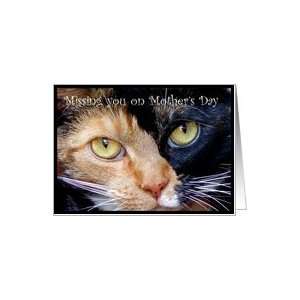  Missing you on Mothers Day Calico Cat Card Health 