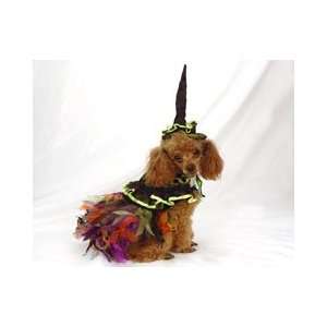  Beautiful Madri Gras Dog Costume   Katherines Collection 