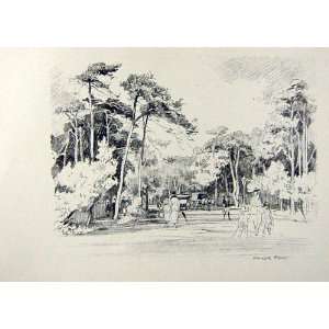    C1920 Bournemouth Manor Road Trees Woollard Sketch