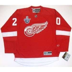  Aaron Downey Detroit Red Wings 08 Cup Jersey Real Rbk 
