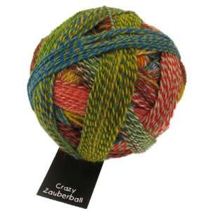  Schoppel Wolle Zauberball Crazy [Blue, Olive, Red, Yellow 