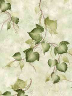 Donna Dewberry Ivy on Green Wallpaper 233 33974   