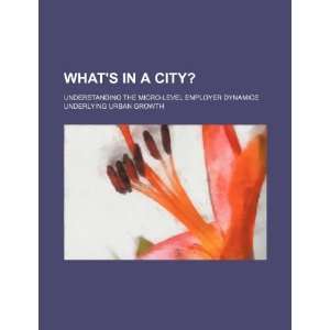  Whats in a city? understanding the micro level employer 
