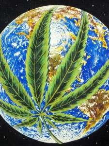 Earth Day Hemp Expo, Marijuana, Rare Weed Poster 1991  