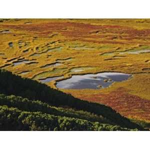  Autumn colored tundra and ponds in Uzon Caldera 
