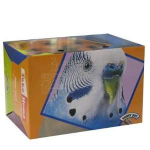  Bird Box Carriers Small cardboard