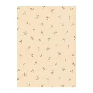   WL5551 Lake Forest Lodge Twig Toss Wallpaper, Almond