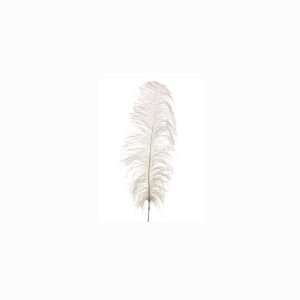  34 Luxurious White Ostrich Feather Decorative Spray Craft 