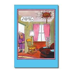  Funny Birthday Card Pussums Humor Greeting Daniel Collins 