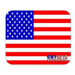  US Flag   Skokie, Illinois (IL) Mouse Pad Everything 