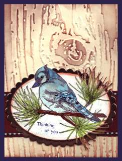 BLUE JAY (5) CLING MOUNTED RUBBER STAMPS  