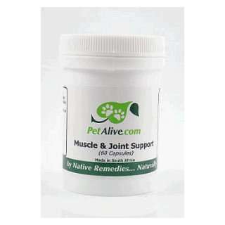   Muscle Joint   Natural Remedy Pet Arthritis