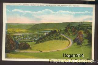 Long Drive To East Wildwood Williamsport PA Postcard  