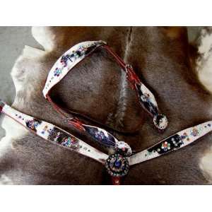   Headstall Breast Collar Set with Multi color bling 