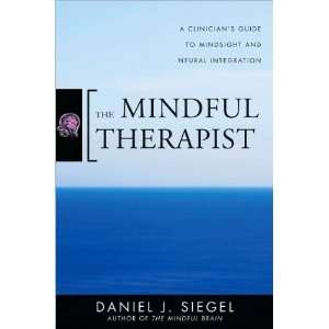  Daniel J. SiegelsThe Mindful Therapist A Clinicians 