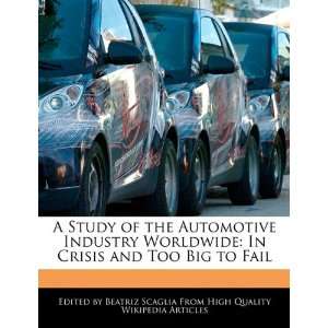   In Crisis and Too Big to Fail (9781241713461) Beatriz Scaglia Books