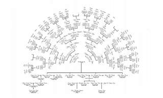 Framed Personalized Family Tree Fan Chart  