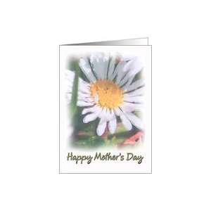  Mothers Day   Watercolour Daisy Card Health & Personal 