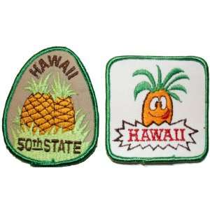  E615 Lot 2 Hawaii State Fruit Pinapple Travel Patch 