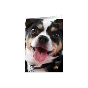  Happy Chihuahua Dog Blank All occasion Card Health 