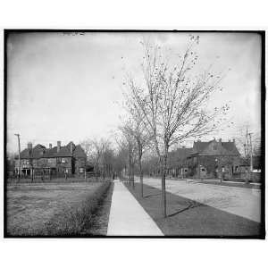    Devonshire Road from Quxedo,Walkerville,Ont.