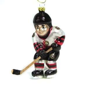   Ottawa Senators NHL Glass Hockey Player Ornament (4) Sports