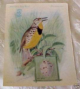 Singer Sewing Machine American Song Birds Meadowlark  