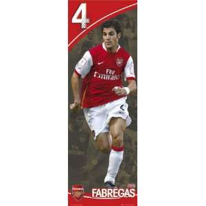  Arsenal  Cesc Fabregas Door Poster Print, 20x62